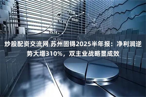 炒股配资交流网 苏州固锝2025半年报：净利润逆势大增310%，双主业战略显成效
