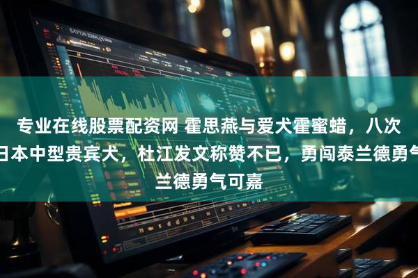 专业在线股票配资网 霍思燕与爱犬霍蜜蜡，八次战胜日本中型贵宾犬，杜江发文称赞不已，勇闯泰兰德勇气可嘉